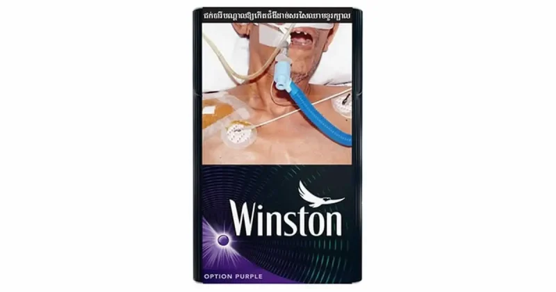 Winston Option Purple